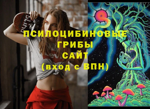 спайс Абаза