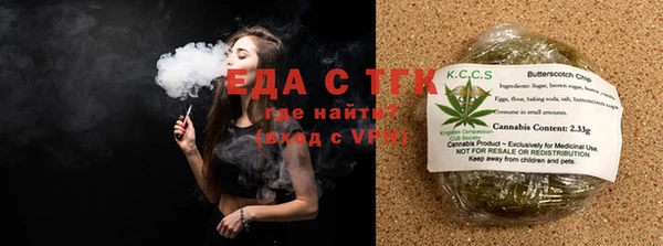 индика Абинск