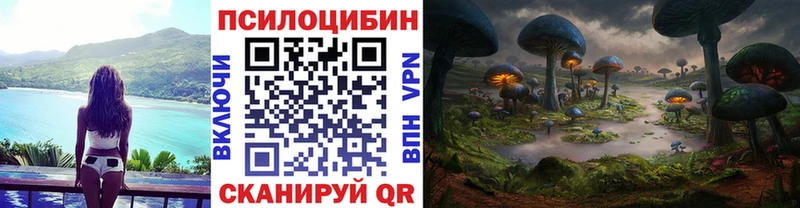 Псилоцибиновые грибы Magic Shrooms  Норильск 